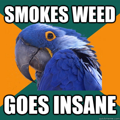 smokes weed goes insane  Paranoid Parrot