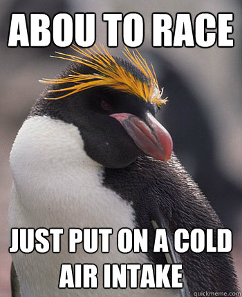 abou to race just put on a cold air intake  Socially Overconfident Penguin