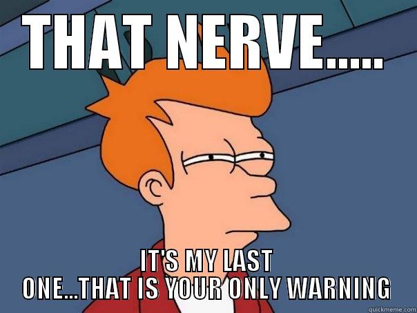 THAT NERVE..... IT'S MY LAST ONE...THAT IS YOUR ONLY WARNING Futurama Fry