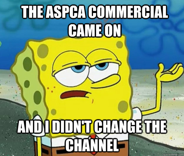 The aspca commercial came on and i didn't change the channel  How tough am I