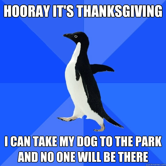 Hooray it's Thanksgiving I can take my dog to the park and no one will be there  Socially Awkward Penguin