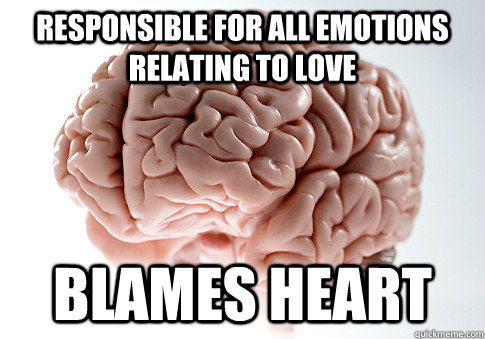 responsible for all emotions relating to love blames heart  Scumbag Brain