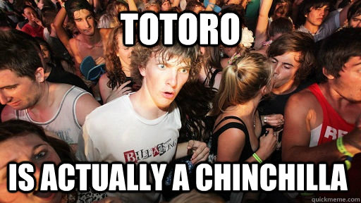 totoro Is actually a chinchilla   Sudden Clarity Clarence