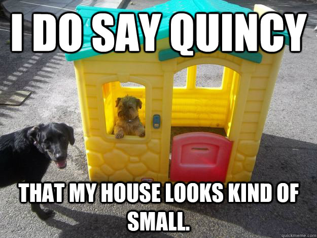 I do say Quincy  That my house looks kind of small.   Upper Class White Dog