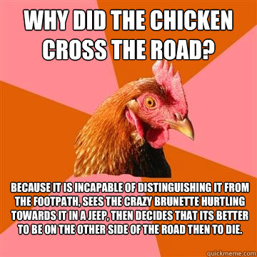 why did the chicken cross the road? Because it is incapable of distinguishing it from the footpath, sees the crazy brunette hurtling towards it in a jeep, then decides that its better to be on the other side of the road then to die.  Anti-Joke Chicken