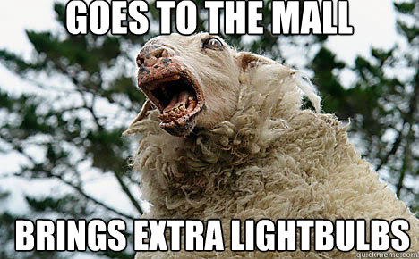 Goes to the mall Brings extra lightbulbs  Meth Sheep