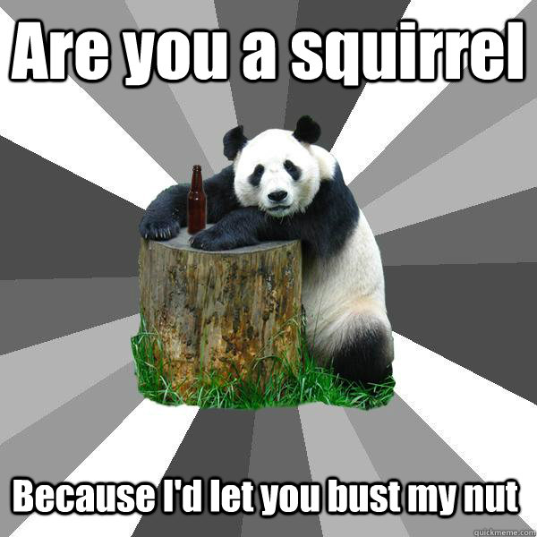 Are you a squirrel Because I'd let you bust my nut  Pickup-Line Panda