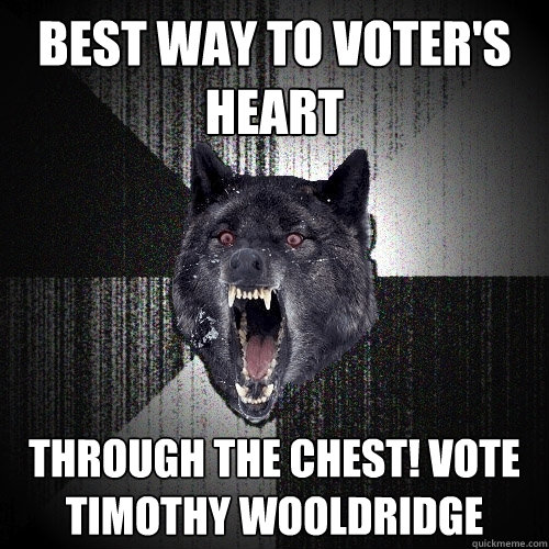 Best Way to voter's Heart THROUGH THE CHEST! VOTE TIMOTHY WOOLDRIDGE  Insanity Wolf