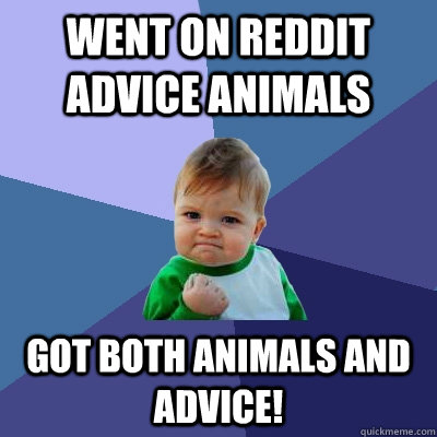 Animal Advice