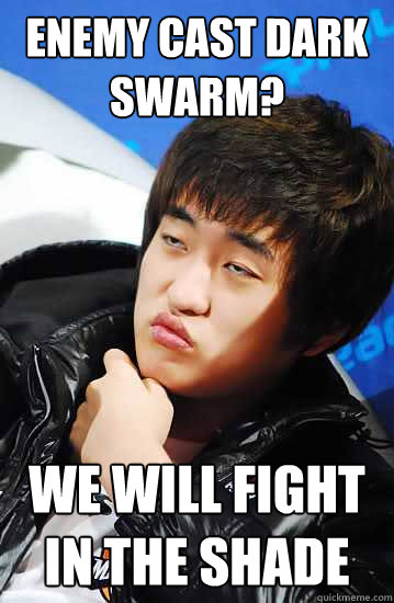 Enemy cast dark swarm? We will fight in the shade  Flash unimpressed