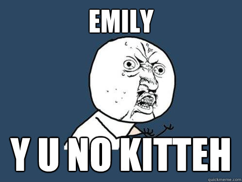 EMILY y u no kitteh  Y U No