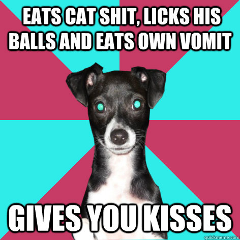  eats cat shit, licks his balls and eats own vomit gives you kisses  Dickhead Dog