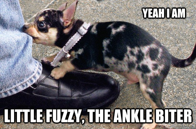 Yeah I am Little fuzzy, the ankle biter - Yeah I am Little fuzzy, the ankle biter  Little fuzzy 1