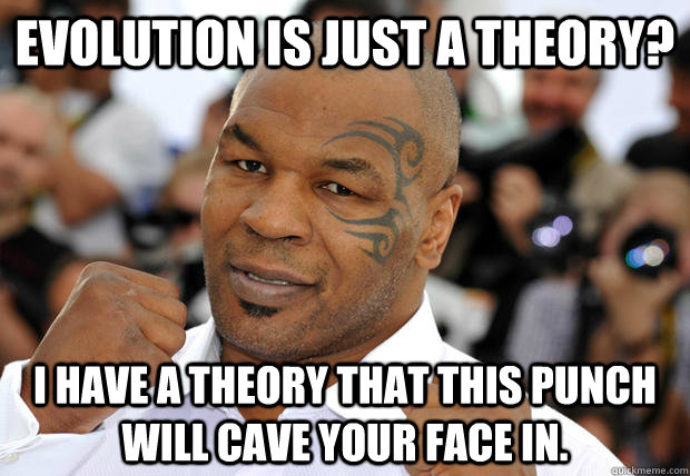 Evolution is just a theory? I have a theory that this punch will cave your face in.  