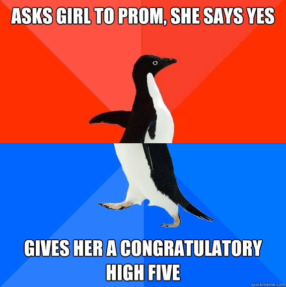 Asks girl to prom, she says yes Gives her a congratulatory high five  Socially Awesome Awkward Penguin