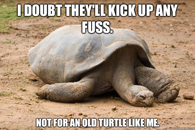 I doubt they'll kick up any fuss. Not for an old turtle like me.  - I doubt they'll kick up any fuss. Not for an old turtle like me.   Depression Turtle