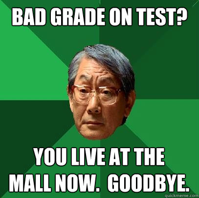 Bad grade on test? You live at the 
mall now.  Goodbye.  High Expectations Asian Father