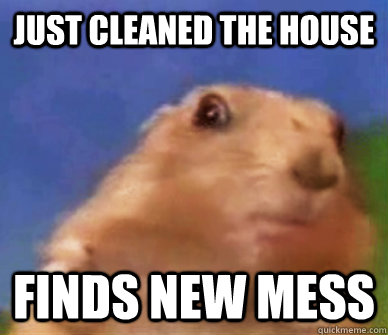 JUST CLEANED THE HOUSE FINDS NEW MESS  Death-Stare Hamster
