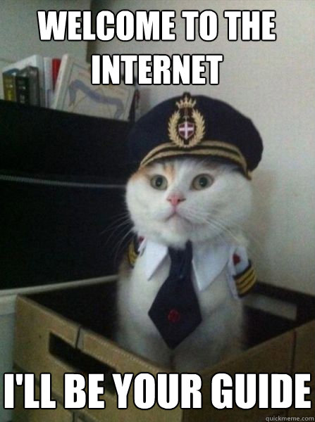 Welcome to the internet I'll be your guide - Welcome to the internet I'll be your guide  Captain kitteh