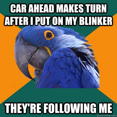 car ahead makes turn after i put on my blinker they're following me  Paranoid Parrot