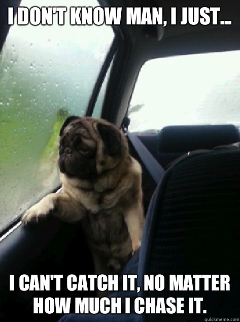 I don't know man, I just...
 I can't catch it, no matter how much I chase it.   Introspective Pug