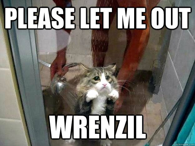 Please let me out Wrenzil  Shower kitty