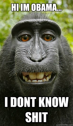 Hi im obama... i dont know shit  Mindful Macaque