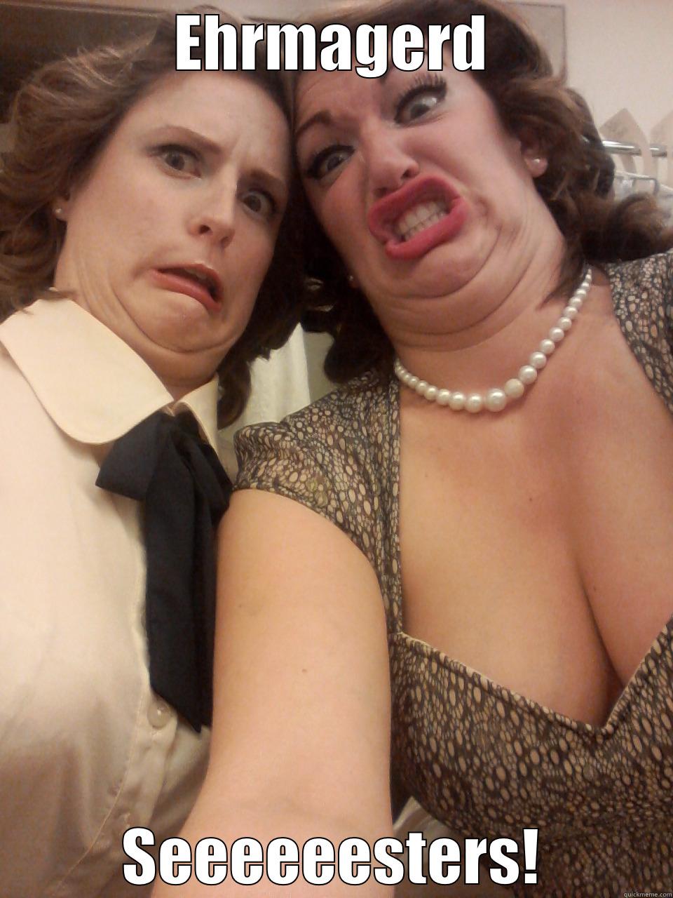 EHRMAGERD SEEEEEESTERS! Misc