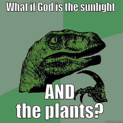 WHAT IF GOD IS THE SUNLIGHT AND THE PLANTS? Philosoraptor