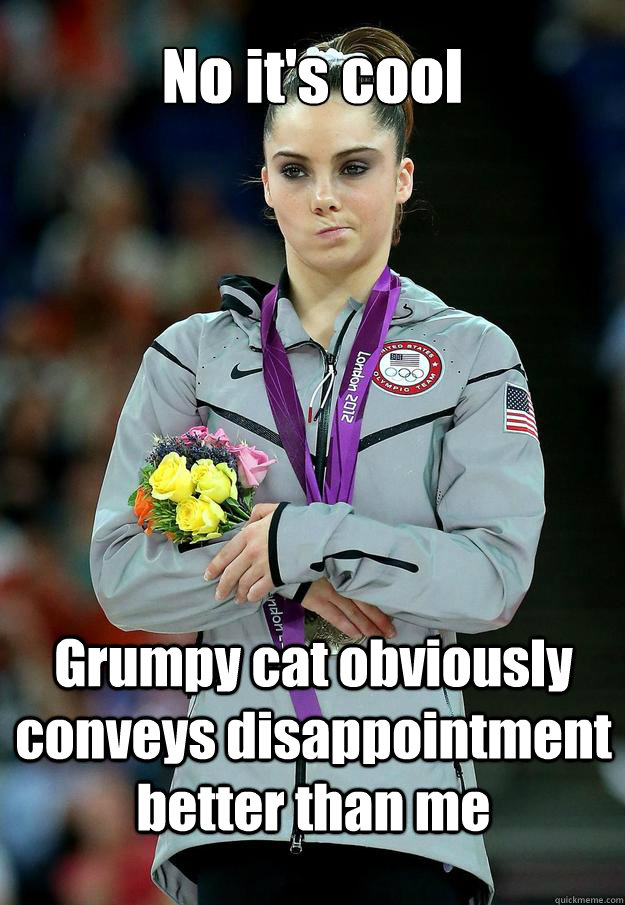 No it's cool Grumpy cat obviously conveys disappointment better than me - No it's cool Grumpy cat obviously conveys disappointment better than me  McKayla