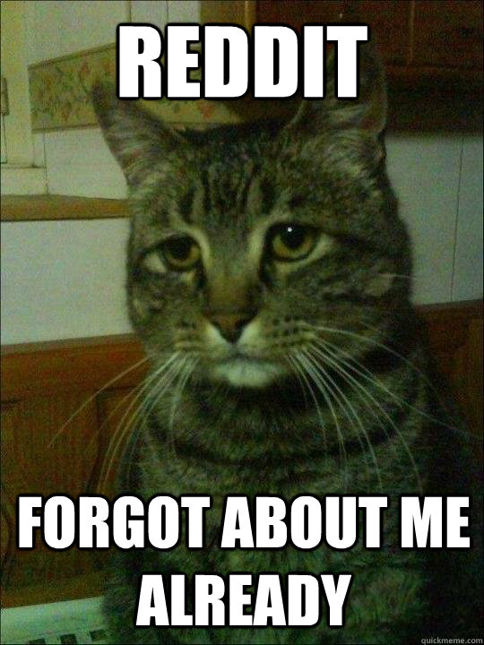 Reddit Forgot about me already - Reddit Forgot about me already  Misc