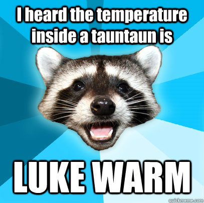 I heard the temperature inside a tauntaun is LUKE WARM  Lame Pun Coon