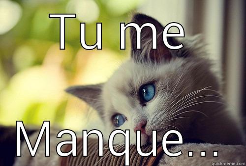 TU ME MANQUE... First World Problems Cat