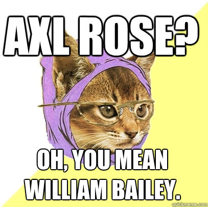 Axl rose? Oh, you mean william bailey.  Hipster Kitty