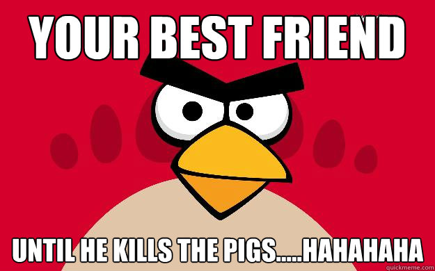 your best friend until he kills the pigs.....hahahaha - your best friend until he kills the pigs.....hahahaha  Angry Birds