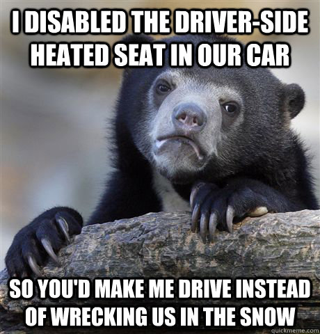 i disabled the driver-side heated seat in our car so you'd make me drive instead of wrecking us in the snow  Confession Bear