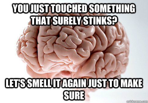 you just touched something that surely stinks? let's smell it again just to make sure  Scumbag Brain