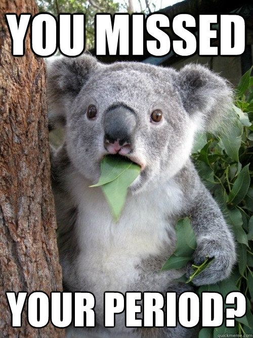 YOU MISSED YOUR PERIOD?  Koala