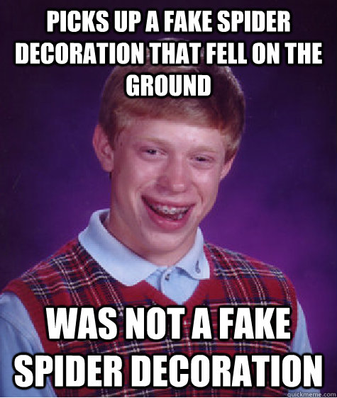 Picks up a fake spider decoration that fell on the ground was not a fake spider decoration  Bad Luck Brian