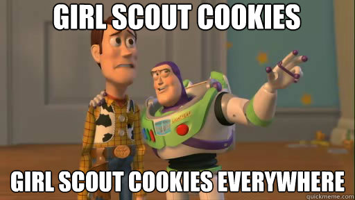Girl Scout Cookies Girl Scout cookies Everywhere  Everywhere