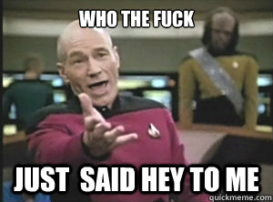 Who the Fuck Just  said hey to me  Annoyed picard about shitty watercolor and karmanaut
