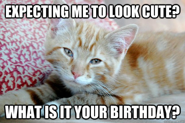 Expecting me to look cute? What is it your birthday?  