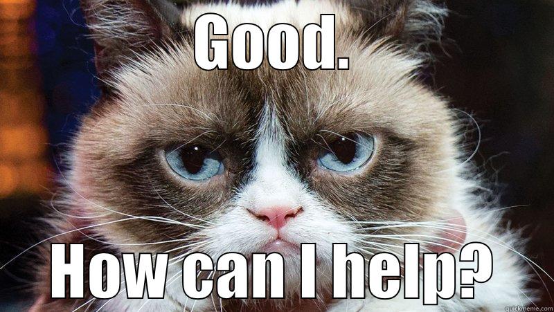 Grumpy Cat NWO - GOOD. HOW CAN I HELP? Misc