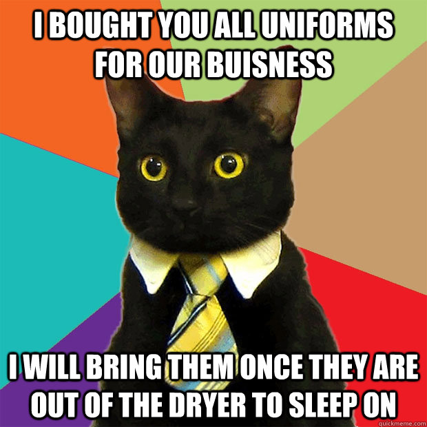 I bought you all uniforms for our buisness i will bring them once they are out of the dryer to sleep on  Business Cat