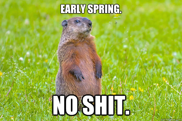 Early spring. No shit.  