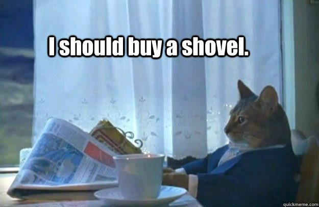 I should buy a shovel.  Sophisticated Cat is broke