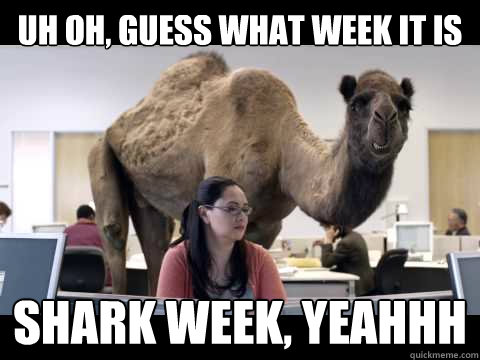 UH OH, Guess what week it is Shark week, Yeahhh  Hump Day Camel