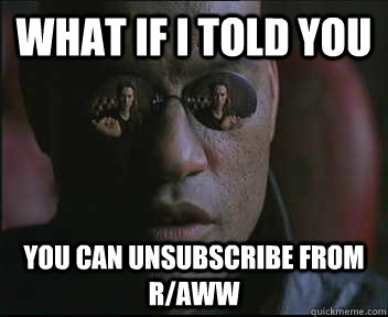 What if I told you You can unsubscribe from r/aww  Morpheus SC