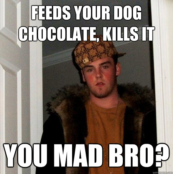 feeds your dog chocolate, kills it You mad bro? - feeds your dog chocolate, kills it You mad bro?  Scumbag Steve