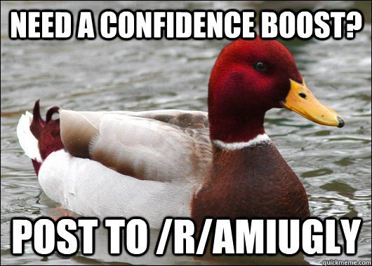 Need a confidence boost? Post to /r/amiugly  Malicious Advice Mallard